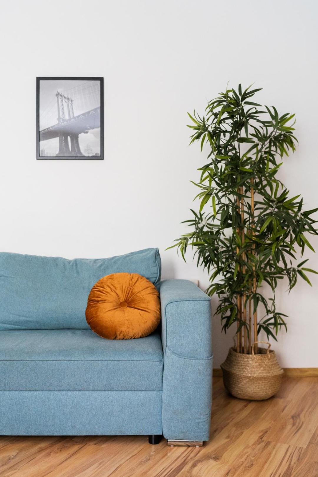 Big Apart - Nice Design - 3 Rooms - Wroclaw City Centre Eksteriør billede